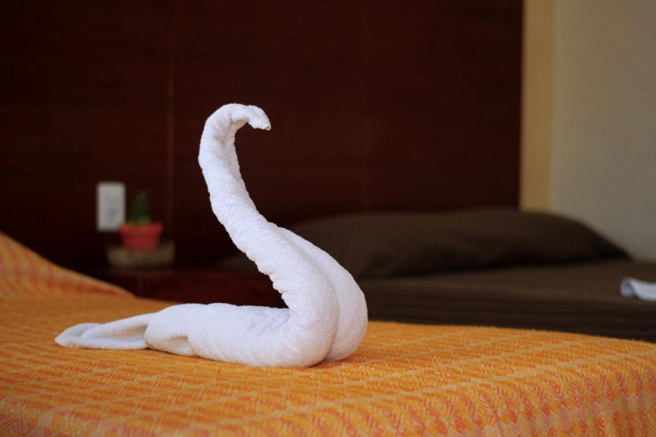 Hotel Las Mestizas 巴利亚多利德 外观 照片